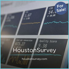 HoustonSurvey.com - Creative brandable domain for sale