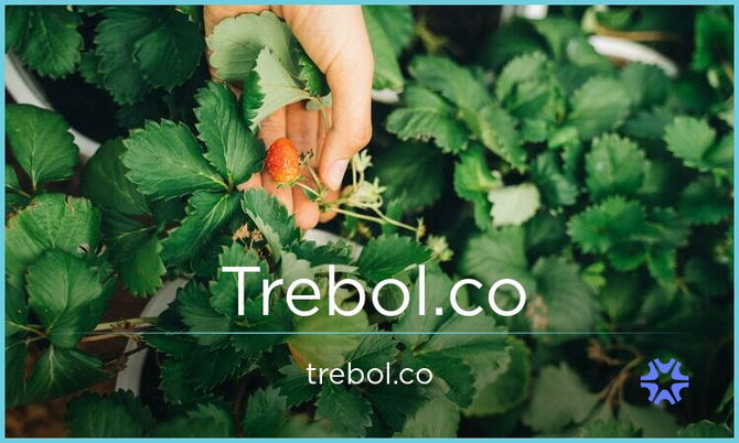 Trebol.co