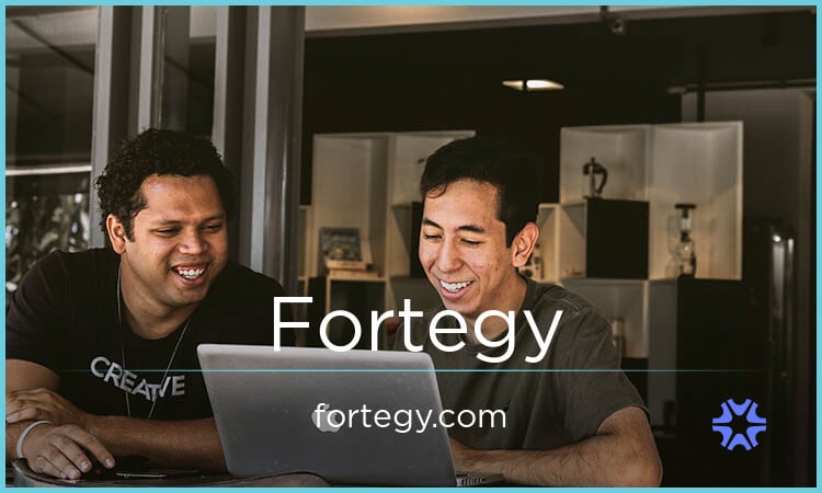 Fortegy.com image 2