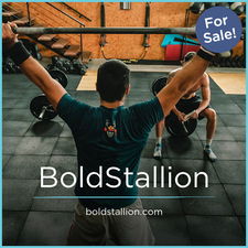 BoldStallion.com - Great premium names