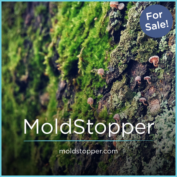 MoldStopper.com - Catchy premium domain names