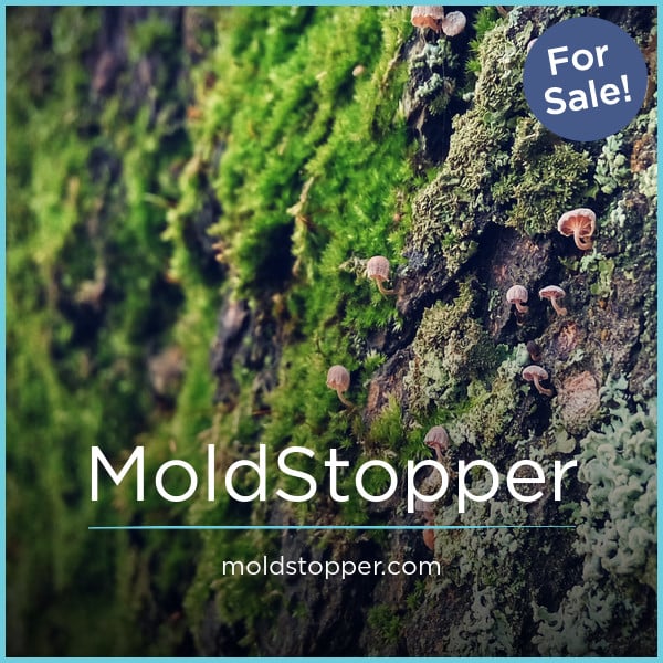 MoldStopper.com image 2