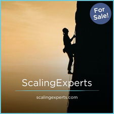 ScalingExperts.com - Creative brandable domain for sale