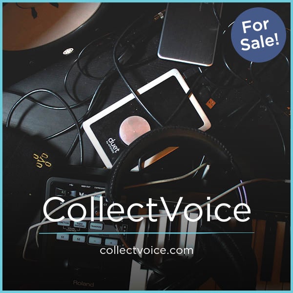 CollectVoice.com image 2