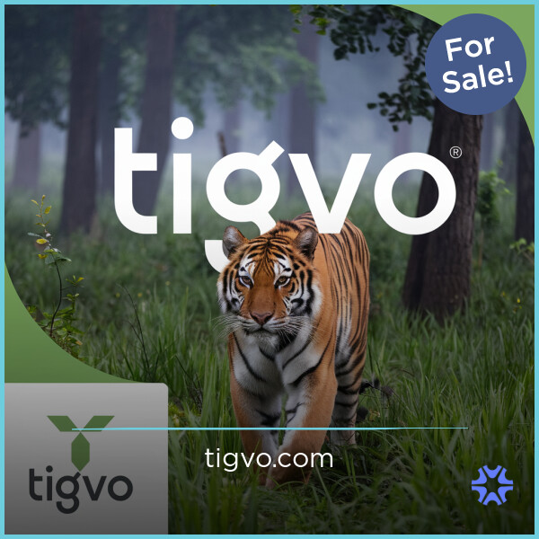 Tigvo.com - buying Cool premium names