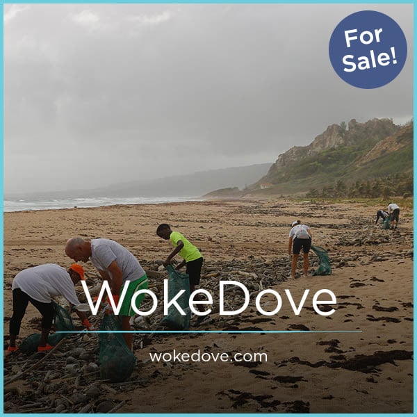 WokeDove.com image 2