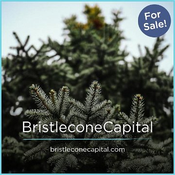 BristleconeCapital.com