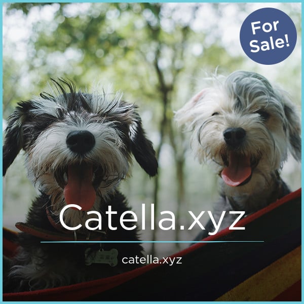 Catella.xyz - Best premium domain names