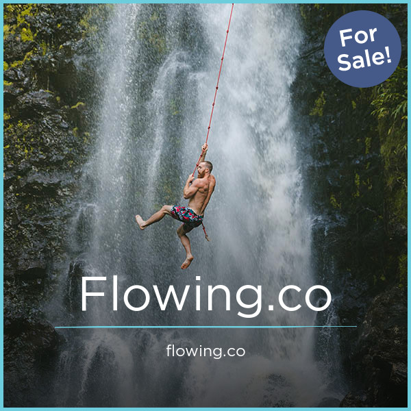 Flowing.co - Great premium names
