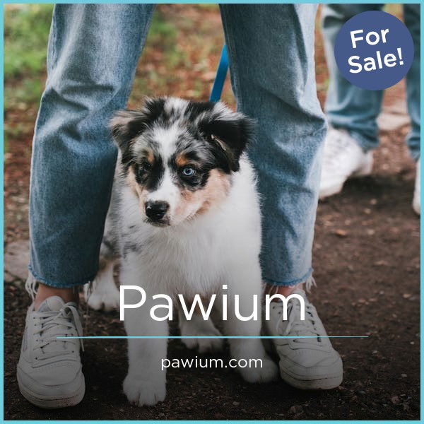 Pawium.com — 2