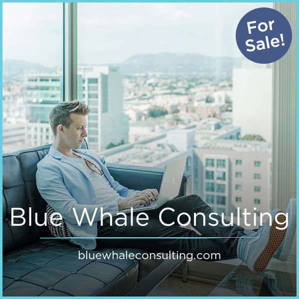 BlueWhaleConsulting.com