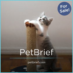 PetBrief.com - Great premium company names for sale