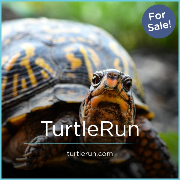 TurtleRun.com - buy Good premium names