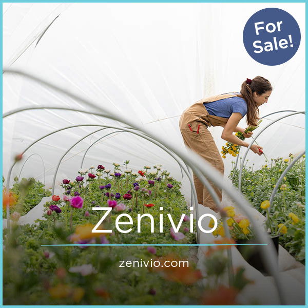 Zenivio.com — 2