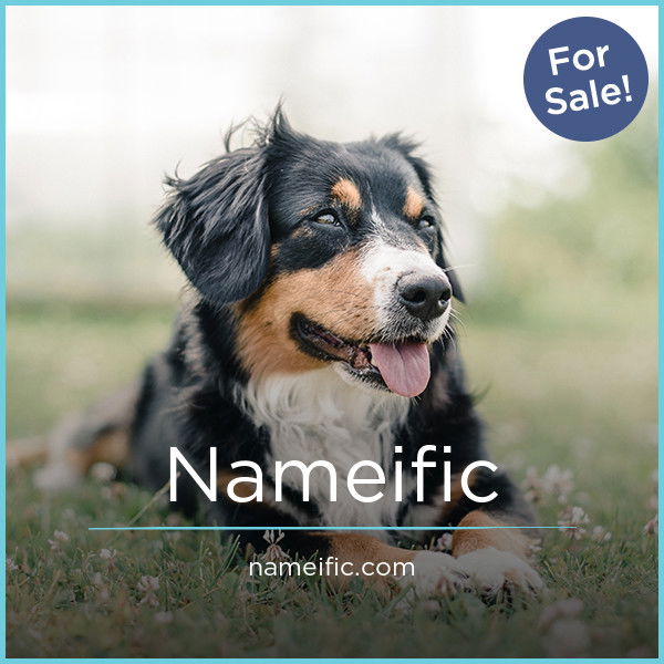 Nameific.com