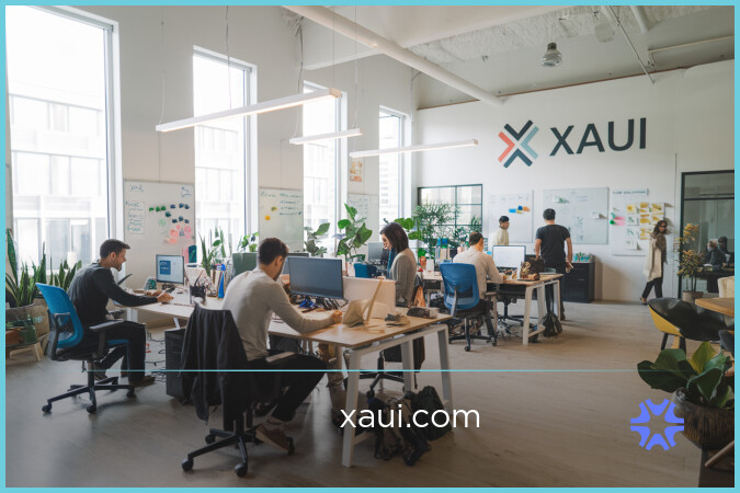 Xaui.com image 2