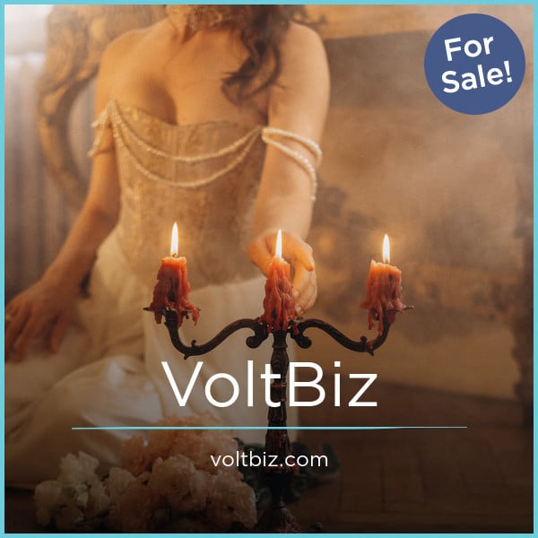 VoltBiz.com image 2