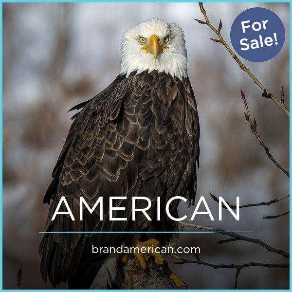 BrandAmerican.com