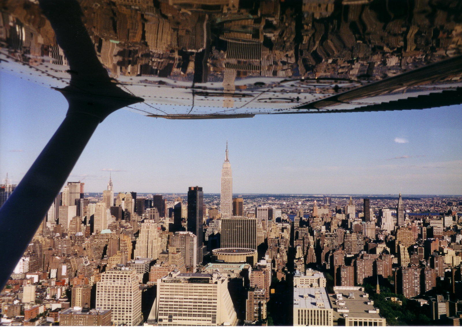 Choose a Curated Company- or Product-Name