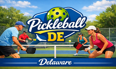 PickleballDE.com - Creative brandable domain for sale