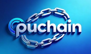 Puchain logo