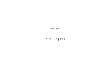 Seliger.uk is for sale