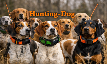 Hunting-Dog.com is for sale