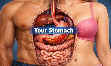 YourStomach.com - Creative brandable domain for sale