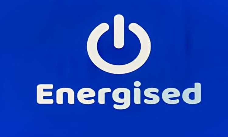Energised logo
