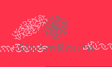 BloomRoute.com - Creative brandable domain for sale