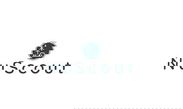 NuScout.com - Creative brandable domain for sale