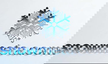 SnowMeta logo