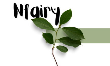 Nfairy.com is for sale