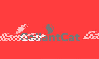 GallantCat.com - Creative brandable domain for sale