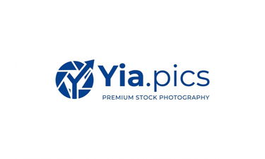 YIA logo