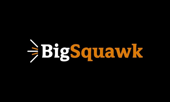BigSquawk.com