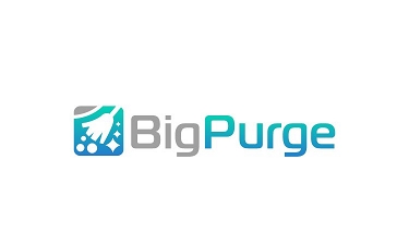 BigPurge.com - Creative brandable domain for sale