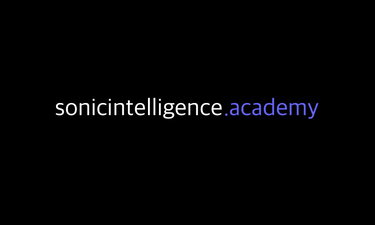 sonicintelligence logo