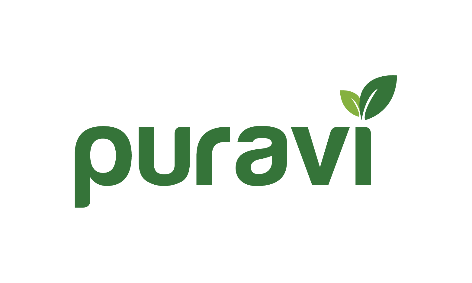Puravi.com - Creative brandable domain for sale
