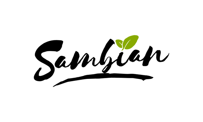Sambian.com