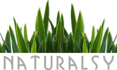 Naturalsy.com - Creative brandable domain for sale