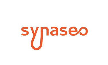 Synaseo.com