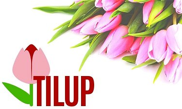 Tilup.com - Creative brandable domain for sale