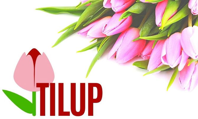 Tilup.com