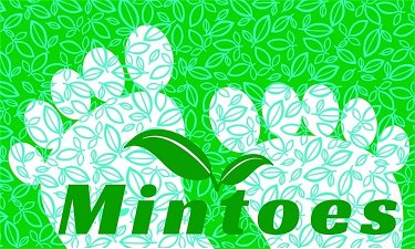 Mintoes.com - Creative brandable domain for sale