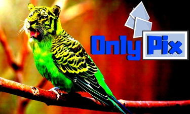 OnlyPix.com - Creative brandable domain for sale