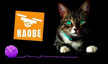 Raobe.com - Creative brandable domain for sale