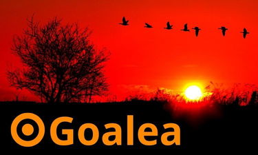 Goalea.com - Creative brandable domain for sale