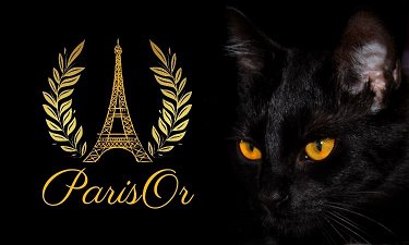ParisOr.com - Creative brandable domain for sale