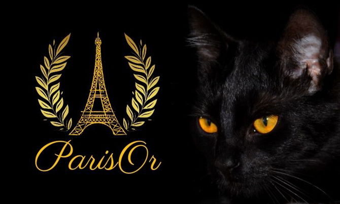 ParisOr.com
